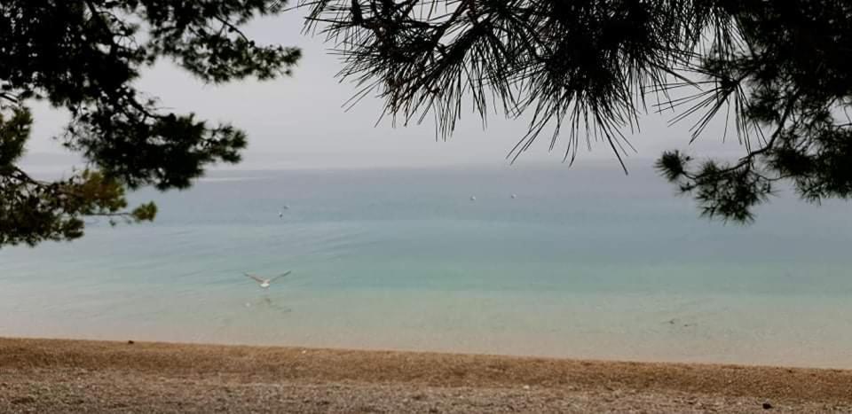 Suncana Sara Otel Tučepi Dış mekan fotoğraf